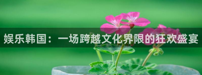 百达娱乐