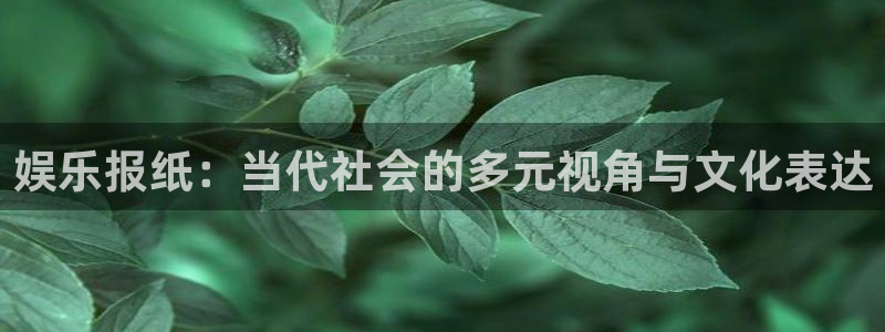 百达娱乐